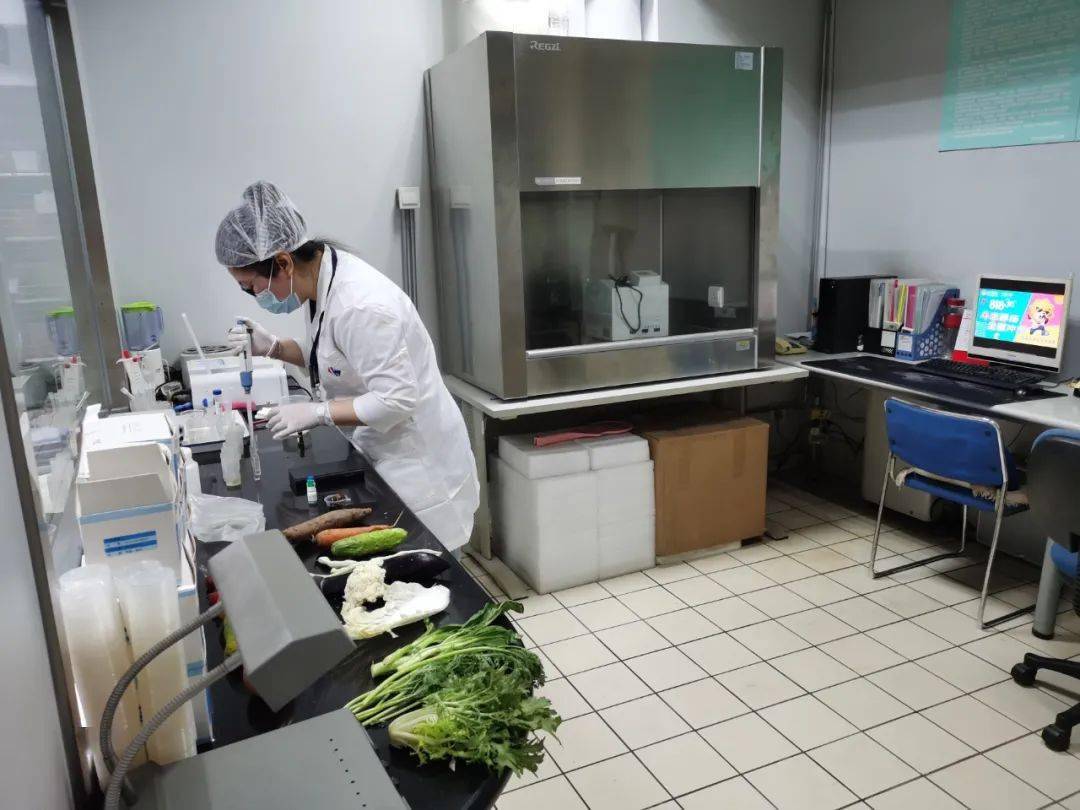 郊区食品检测实验室装修方案